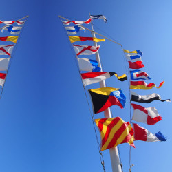 Signal Flag